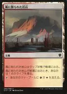 294/309[C]:【C17】被风吹削的岩山/Wind-Scarred Crag