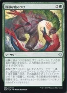 205/279 [U] : Brutal Trampling / Savage Stomp