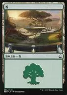 254/254[L]：【BBD】森/Forest