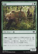 [C] : Mother Bear / Mother Bear