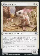 007/280[U]:峽穀飛鼠/Canyon Jerboa