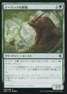 [C]:鼠尾草群/Gnarlid Colony