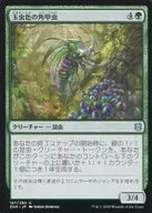 187/280[U]:闪光织物色盲虫/Iridescent Hornbeetle