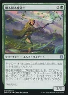212/280[U]:嘲笑树魔道士/Taunting Arbormage