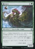 219/280[U]:壁虎/Vine Gecko