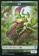 [Token]:昆虫/INSECT