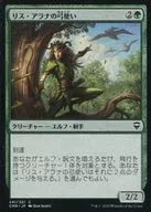 241/361[C]:莉斯·阿拉納的弓箭手/Lys Alana Bowmaster