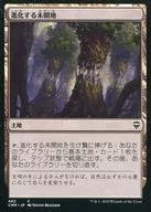 482[C]:正在演變的未開墾土地/Evolving Wilds