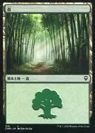 510[C]:森林/Forest