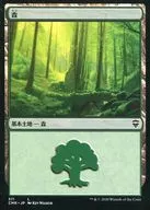 511[C]:森林/Forest