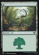 374[L]:【STX】森(374)/Forest(374)