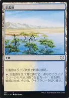 237[U]：【AFC】氾濫原/Flood Plain