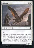 041/361[C]:【CLB】偵察之鷹/Scouting Hawk