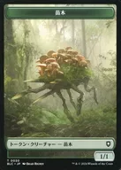 0030 / 0029 [Token] : [BLC] Sapling / Treasure / SAPROLING/TREASURE