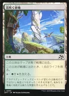 0252[L]:【DFT】盛開的沙地/Blossoming Sands