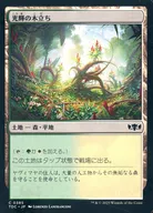 0385[C]:【TDC】光辉的树丛/Radiant Grove