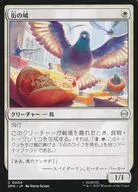 0004[C]：【SPM】街の鳩/City Pigeon