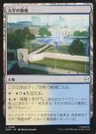 0186[L]：【SPM】大学の敷地/University Campus