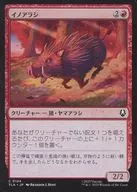 0124[C]：【TLA】イノアラシ/Boar-q-pine