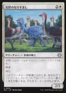 0016[U]：【ECL】鳥群のなりすまし/Flock Impostor