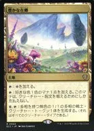 0022[R]：【ECC】豊かな在郷/Abundant Countryside