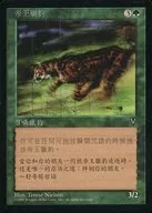 [C]:【繁體中文版】King Cheetah/King Chita