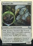 025/216 [U] : 【 UST 】 【 FOIL 】 Teacher's Pet / Teacher's Pet