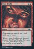 [C]:【FOIL】Burn Bright/燃燒的火焰
