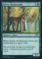 [C]: 【FOIL】 Sylvan Brushstrider / Forest Brush Wear