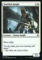 [C]:【FOIL】Youthful Knight/年轻的骑士