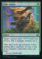 [C]:【FOIL】Fully Grown/充分成长