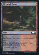 [C]:【FOIL】Bloodfell Caves/積血的洞窟