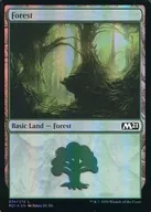 [C]:【FOIL】森林/森林