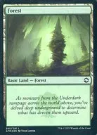 280/281 [L] : [AFR] [FOIL] Forest / Forest