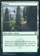 281/281 [L] : [AFR] [FOIL] Forest / Forest