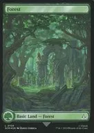 0109[L]：【ACR】【FOIL】【フルアート版】Forest/森