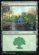 0290 [L] : 【 DFT 】 【 FOIL 】 Forest / Forest