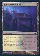 [C]:【FOIL】奧佐夫的行會門/Orzhov Guildgate