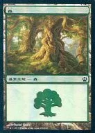 [C]:【FOIL】森(249)/Forest(249/249)