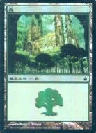 305/306 [C] : 【 RAV 】 【 FOIL 】 Forest / Forest