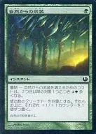 [C] : [FOIL] Armament from Pannoply / Nature's Nature