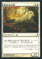 81/210[C]：【CNS】【FOIL】銀筋毛の狐/Silverchase Fox