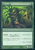 115/301 [C] : 【 SHM 】 【 FOIL 】 Foxfire oak / Foxfire Oak