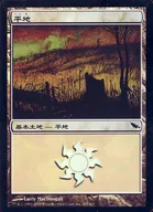 285/301 [C] : [SHM] [FOIL] Flatland / Plains