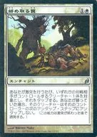 13/301 [U] : [LRW] [FOIL] Armadilha de Emaranhamento / Armadilha de Emaranhamento