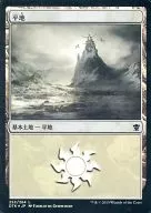 [C]:【FOIL】平地(252/264)/Plains(252/264)