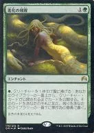 176/272[R]:【FOIL】進化的飛躍/Evolutionary Leap