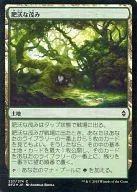 [C] : [FOIL] Fertile Thicket Fertile Thicket