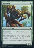 [C] : [FOIL] Netcaster Spider