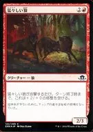 [C] : [FOIL] The Brave Wolf / Brazen Wolves